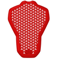 POI Back Protector